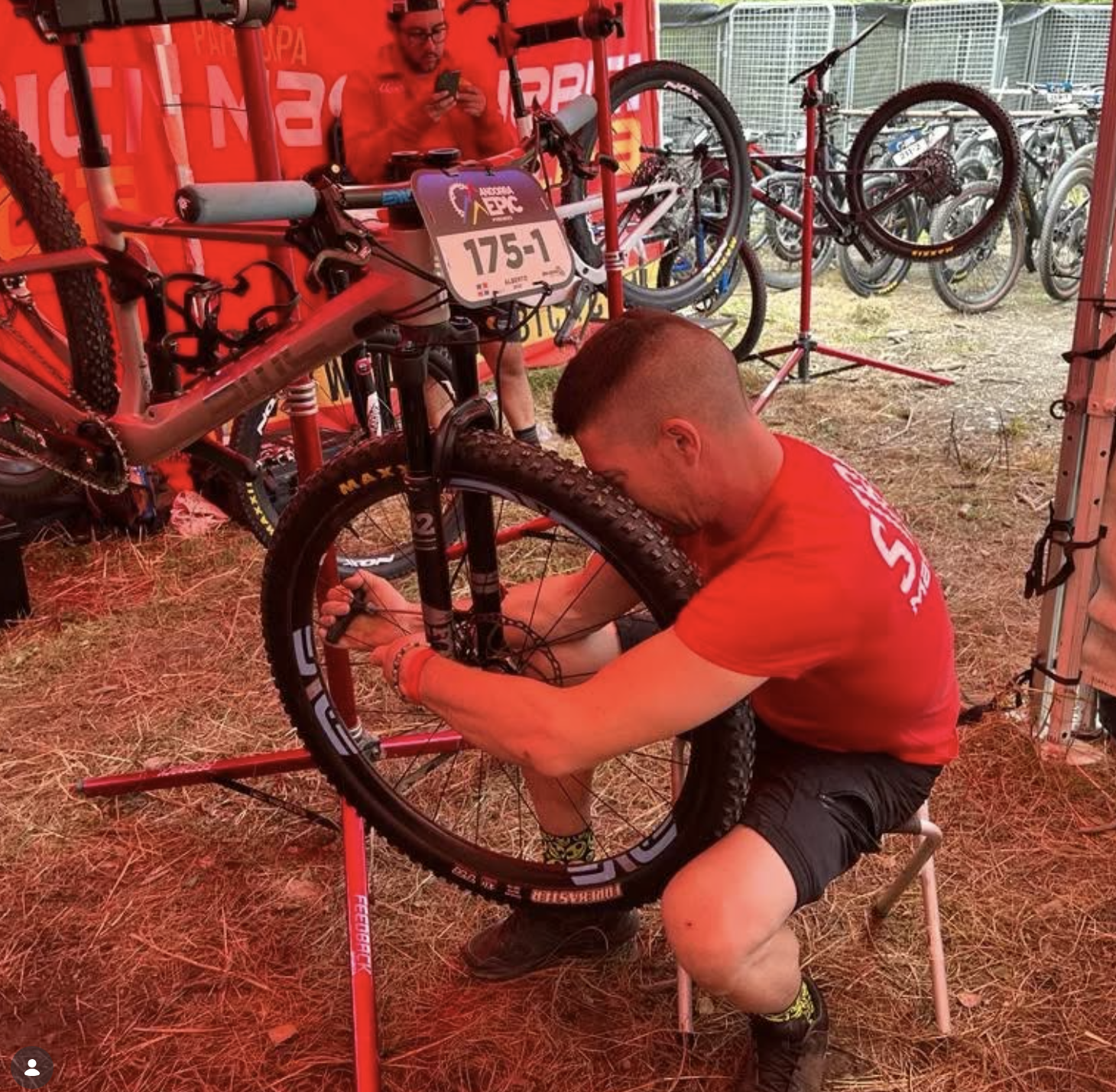 Trabajando en Competición